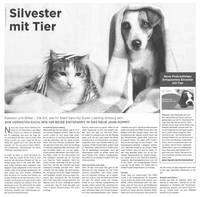 gr_Silvester mit Tier